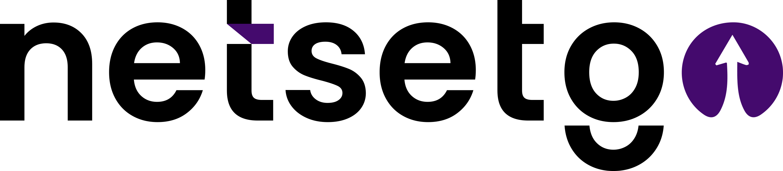 NETSETGO Logo
